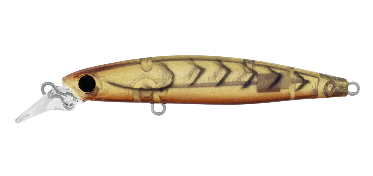 Daiwa Infeet Sazanami 60SP Lure