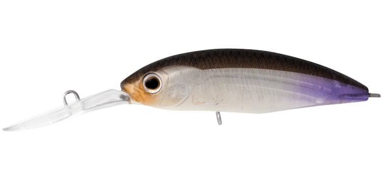 Daiwa Infeet Spike 53SP Lure