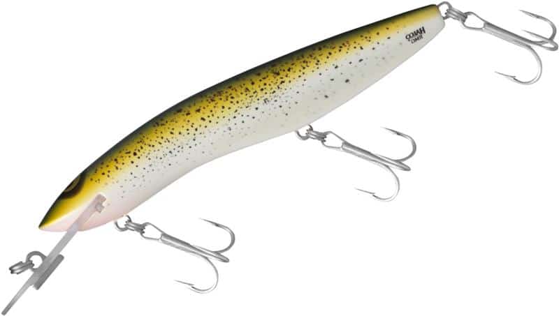 RMG Scorpion 125 XDD 8m