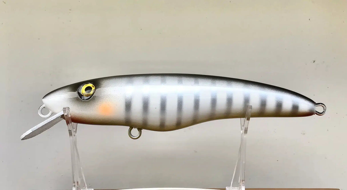 Croaker Jewie Jewel Hardbody