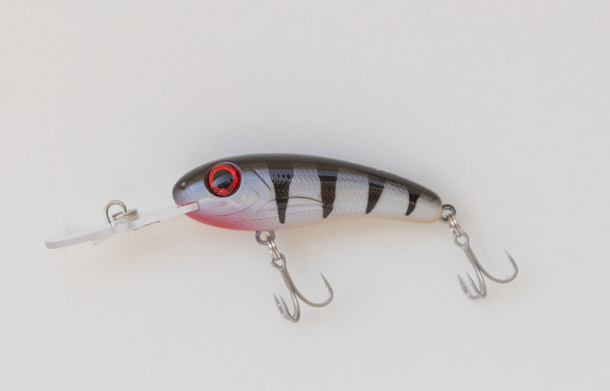 Silly Fish Mirage 55 Mid Diver