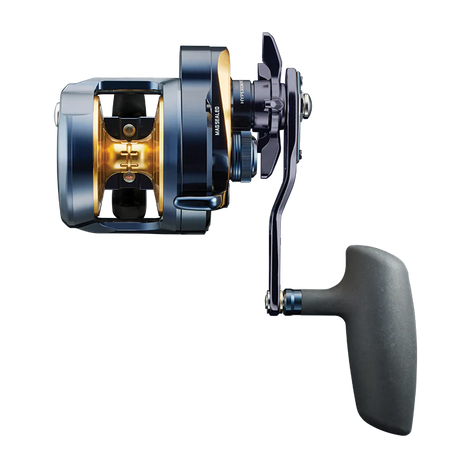 Daiwa 24 Saltiga (G) Star Drag Overhead Reel