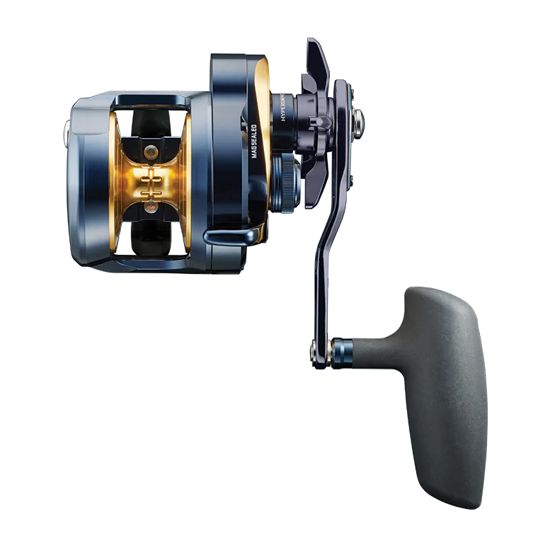 Daiwa 24 Saltiga (G) Star Drag Overhead Reel
