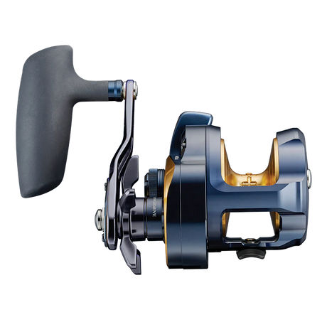 Daiwa 24 Saltiga (G) Star Drag Overhead Reel