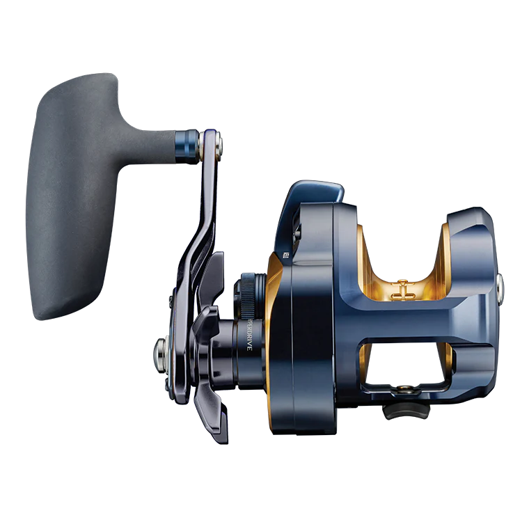Daiwa 24 Saltiga (G) Star Drag Overhead Reel
