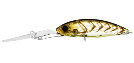 Daiwa Infeet Spike 53EXDR Lure