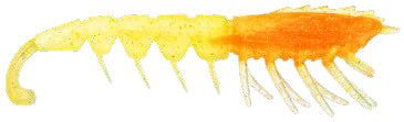 Rapala Crush City The Imposter 4.5in Plastics