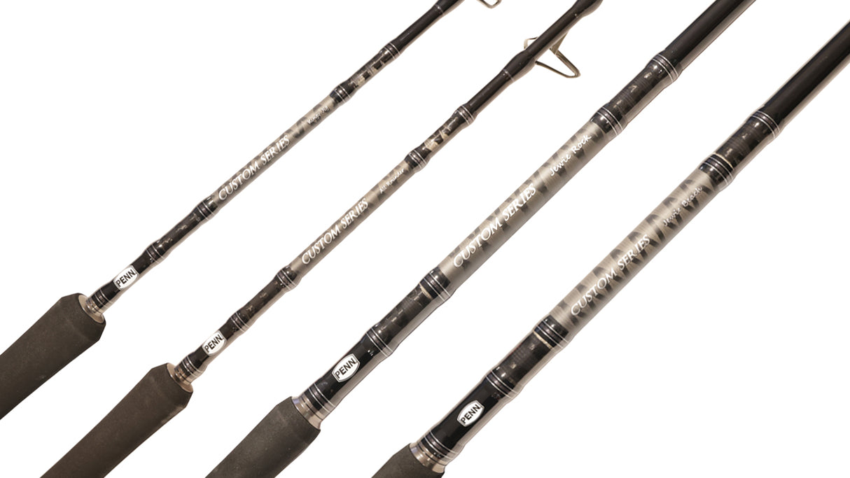 Deal 2 - Penn Custom Series Rod