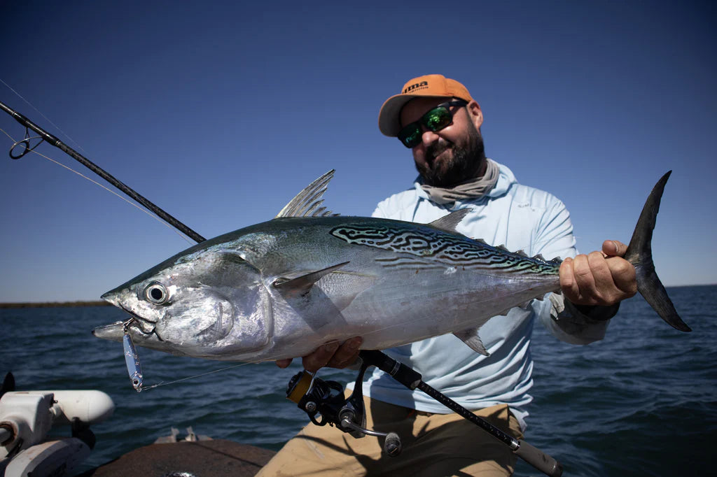 TT Hard Core Metal Series