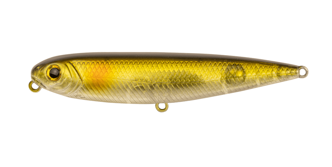 OLIVE SHAD