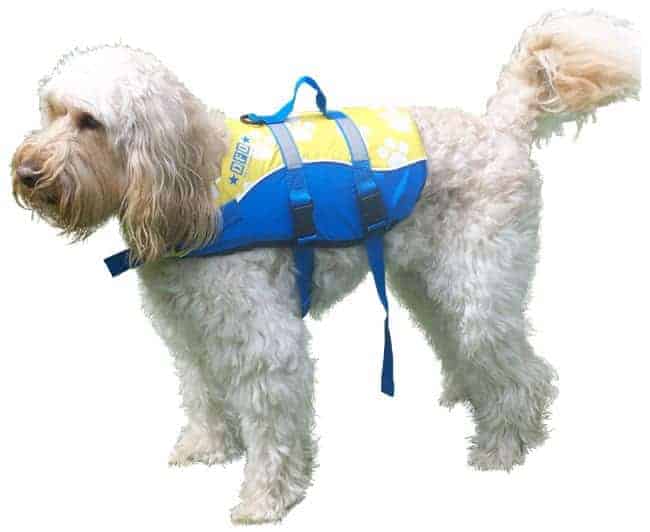 RWB Dog Life Jacket
