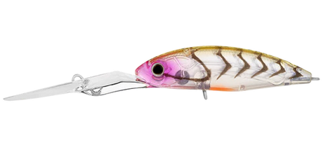 Daiwa Infeet Spike 53EXDR Lure