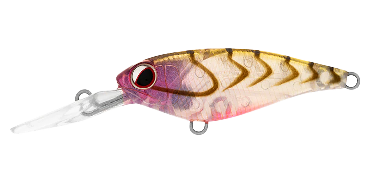 Daiwa Infeet Kodachi 40SF Lure