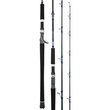 Daiwa 25 Seaborg DG Rods