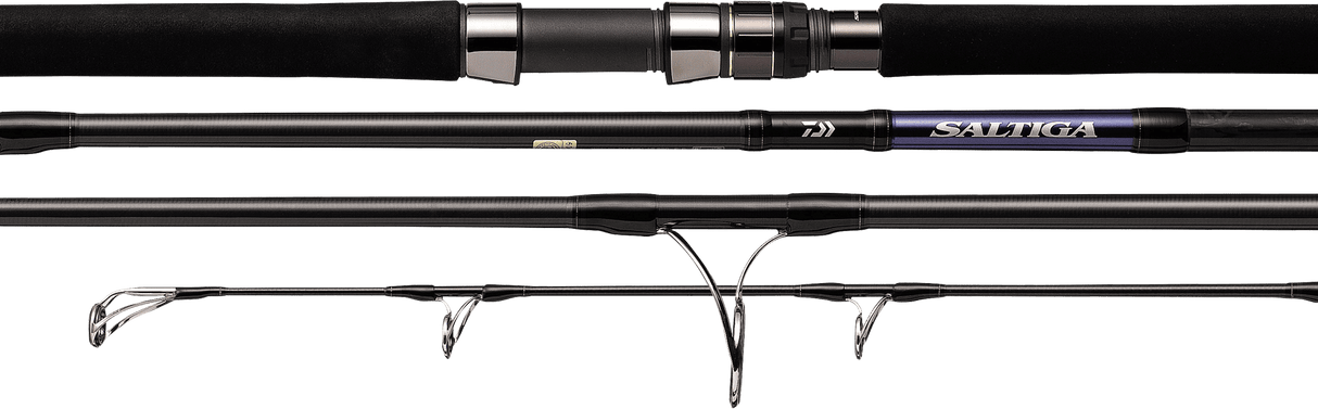 Daiwa 21 Saltiga Rod