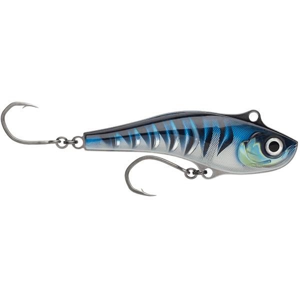Silver Blue Mackerel