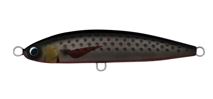 Daiwa Saltiga Rough Ride 160F Lure