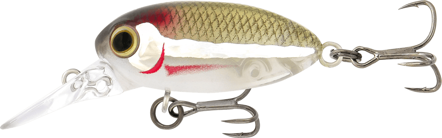 Samaki Redic MF32 Beetle Bug