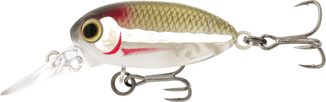 Samaki Redic MF32 Beetle Bug