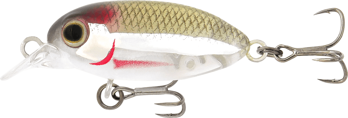 Samaki Redic SF32 Beetle Bug