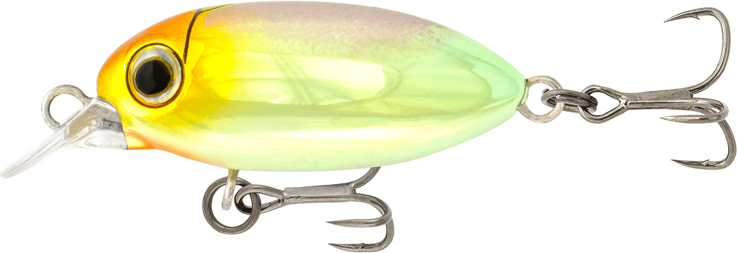 Samaki Redic SF32 Beetle Bug