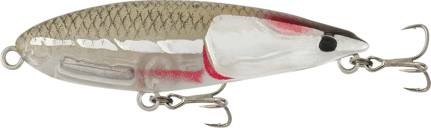 Samaki Redic Fall Prawn 40