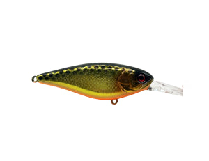 Jackall Super Squirrel 79 Flat SP Lure