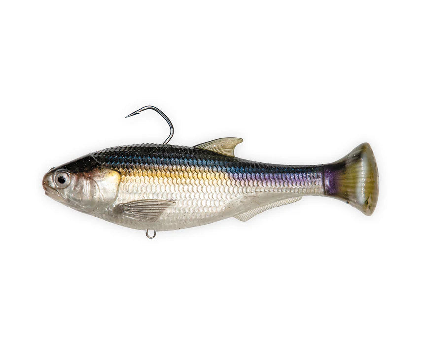 Zman Shadtron LT 6in Swimbait