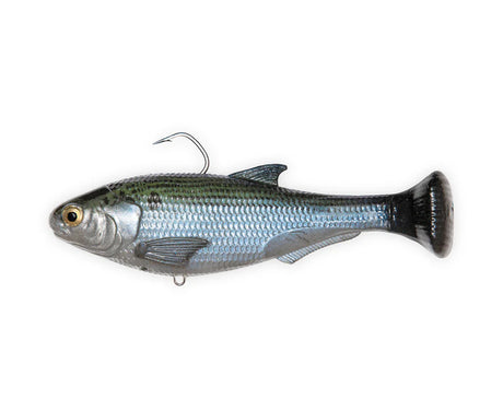 Zman Shadtron LT 6in Swimbait
