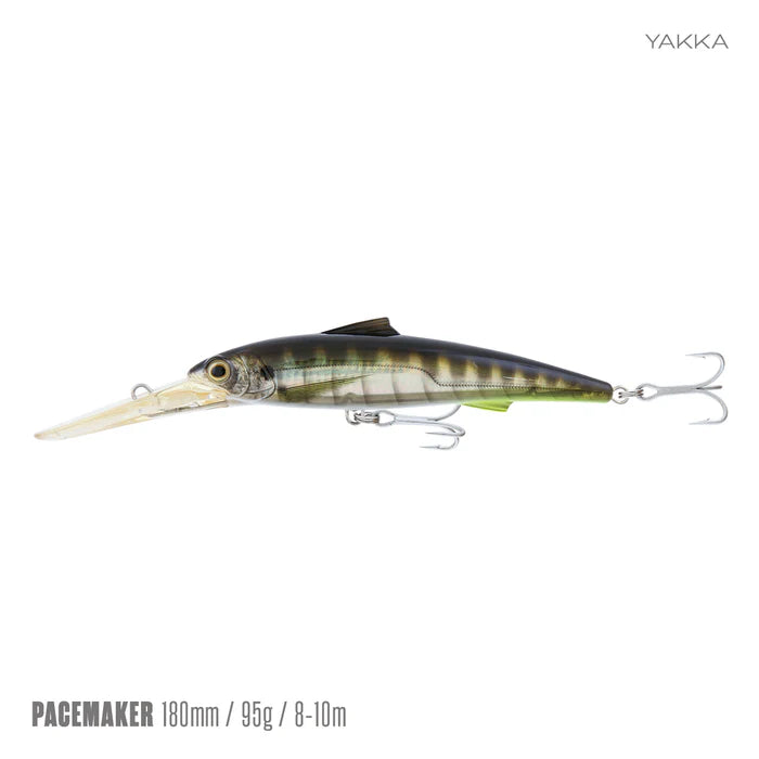 Samaki Pacemaker 180DD Diving Lure