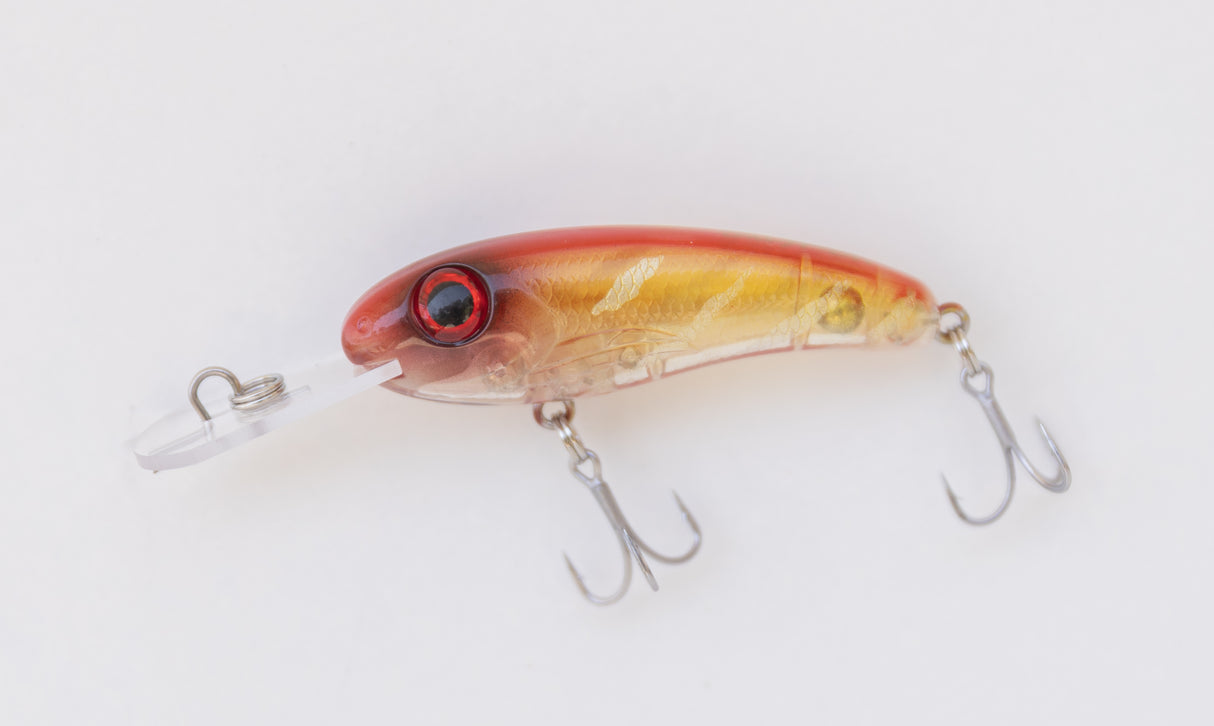 Silly Fish Mirage 55 Shallow Diver