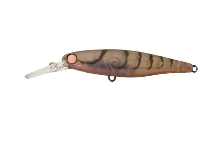 Jackall Squirrel 61SP Diver