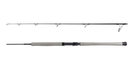 Daiwa TD Offshore Rods