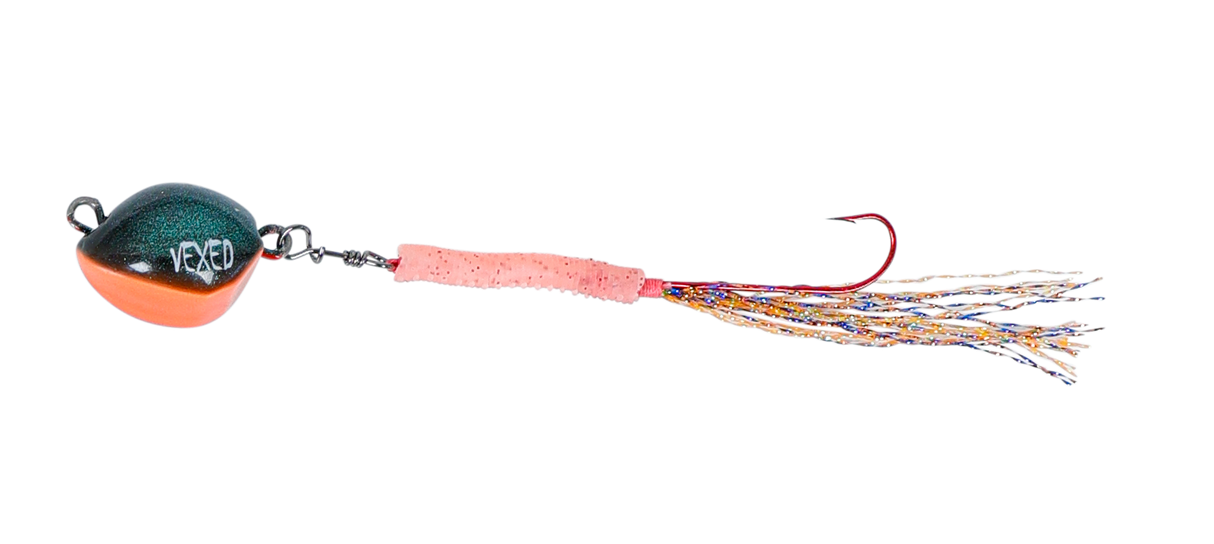 Vexed Bottom Worm Long Shank 5g Jig