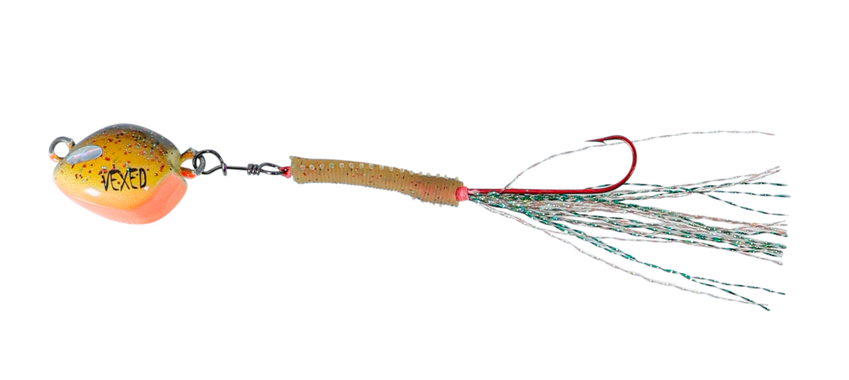 Vexed Bottom Worm Long Shank 5g Jig