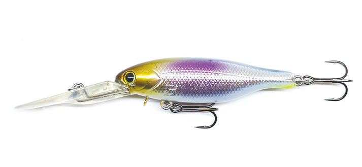 Barambah Boondi Bros 62 DSS