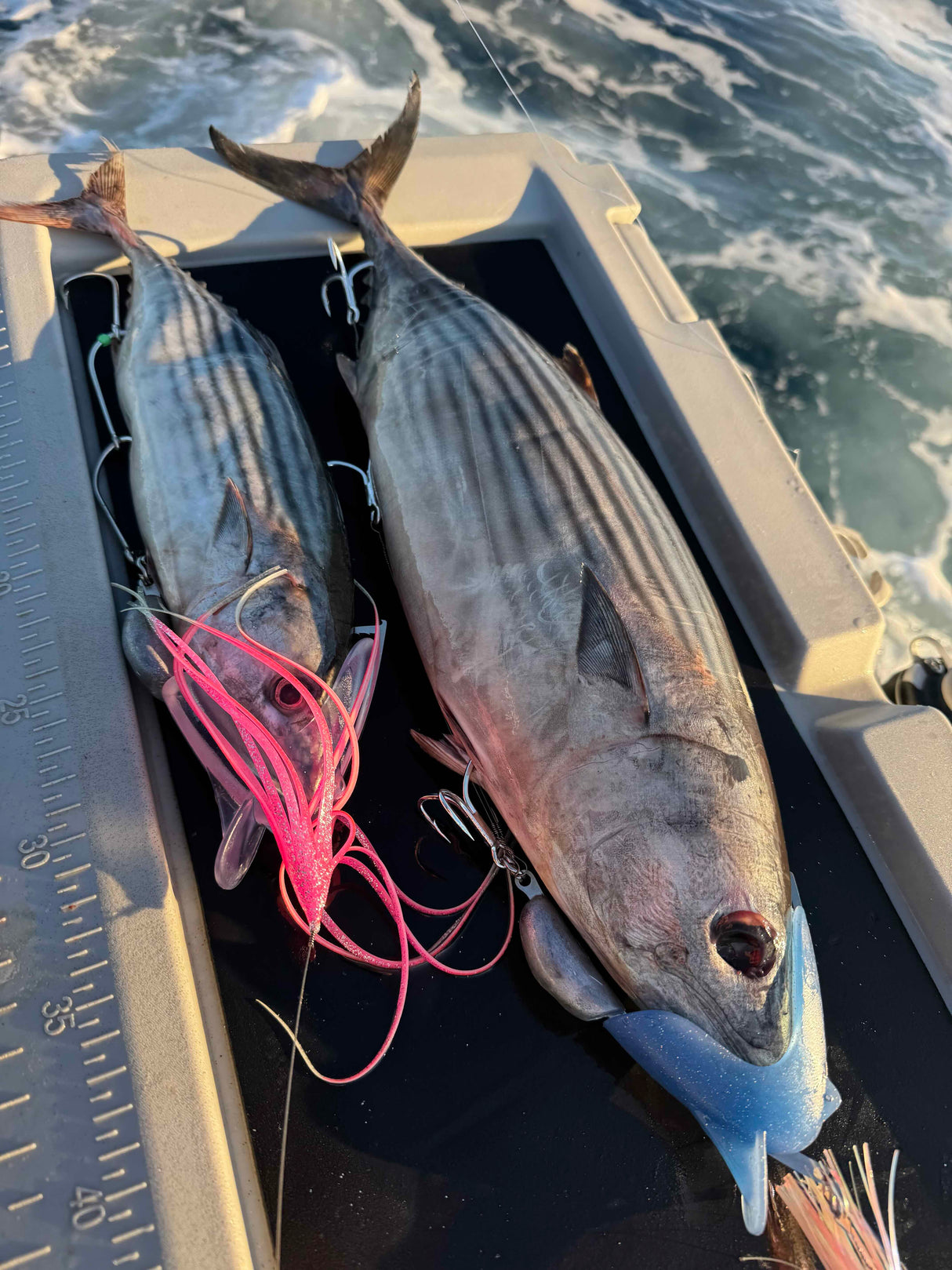 Lure Us In Reaper Rig (Extra Large) - BARE