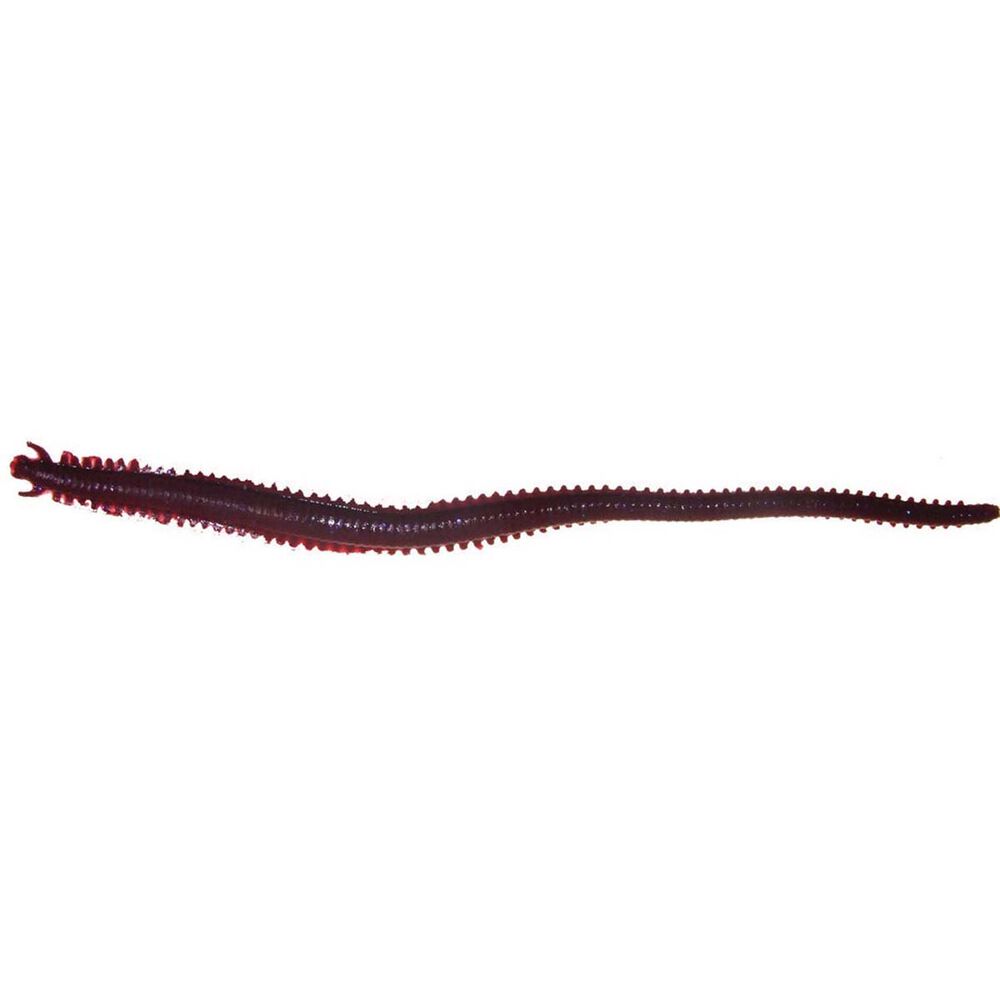 Berkley Gulp 6in Sandworm Plastics