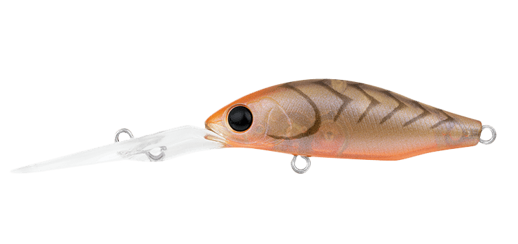 Daiwa Infeet Spike 44 EXDR Lure