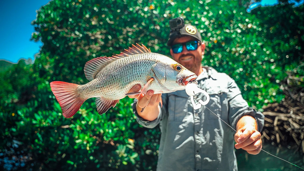 Mintoss Skip Frog - 4in Plastics