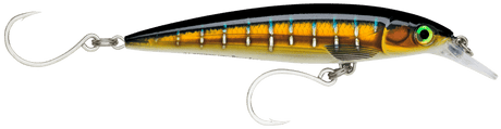 Rapala X-Rap Long Cast 12cm HD
