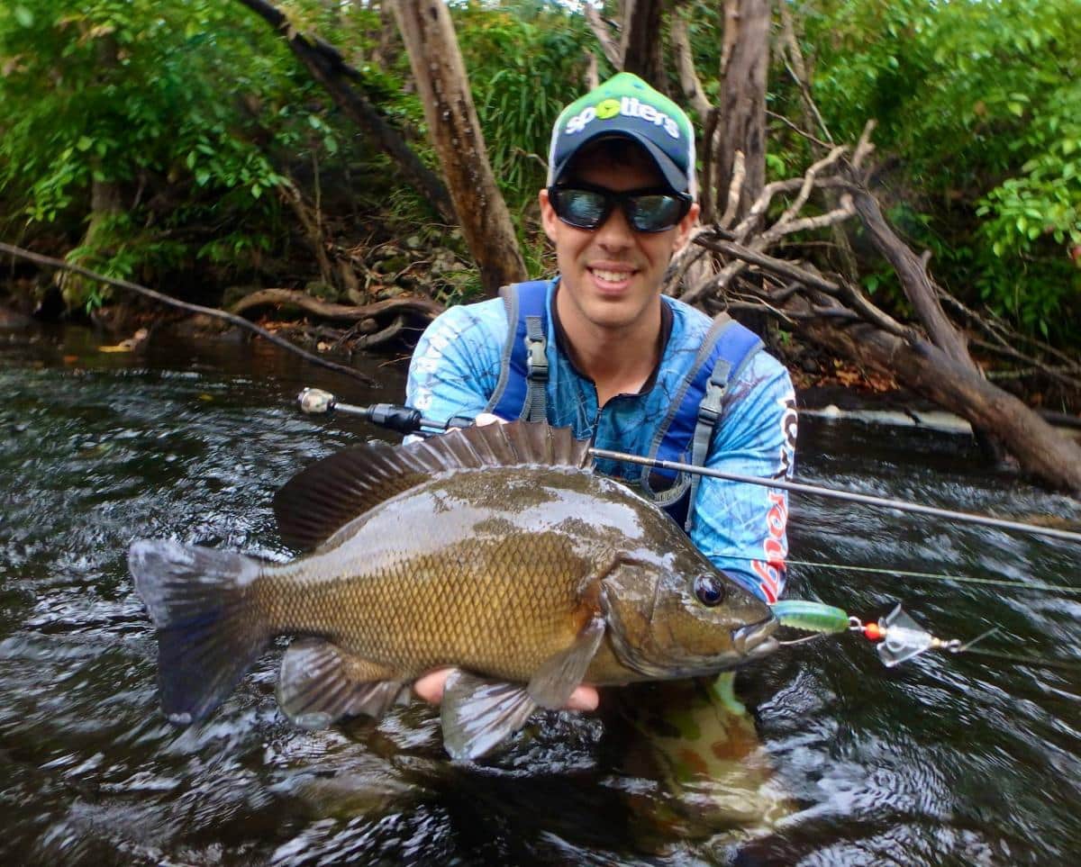 TT Buzzlockz Surface Spinner