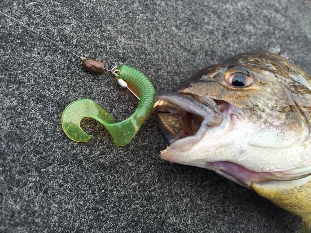 TT Snakelockz Finesse Jig Heads