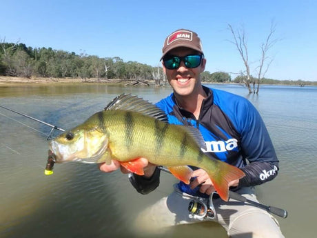 TT Nedlockz HD Jig Heads