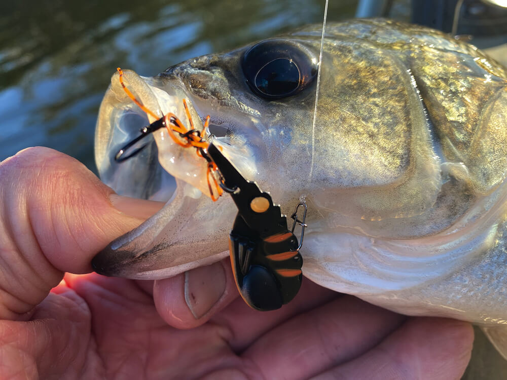 Tackle Tactics SwitchPrawn+ 44mm Metal Vibe 8g