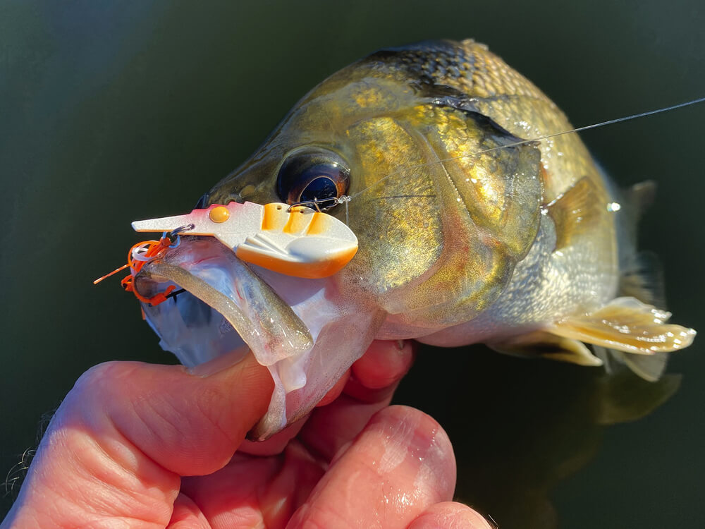 Tackle Tactics SwitchPrawn+ 44mm Metal Vibe 8g