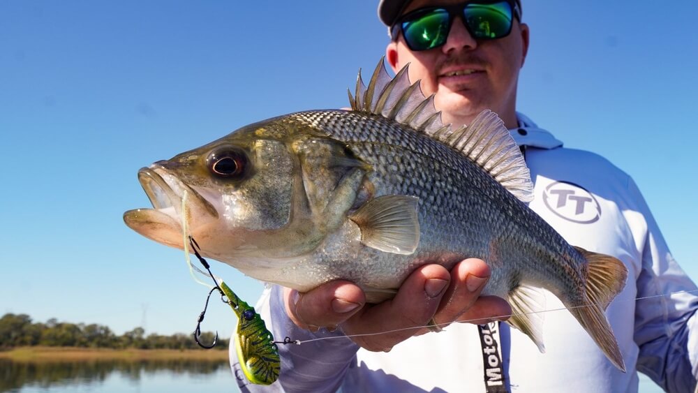 Tackle Tactics SwitchPrawn+ 50mm Metal Vibe 13g