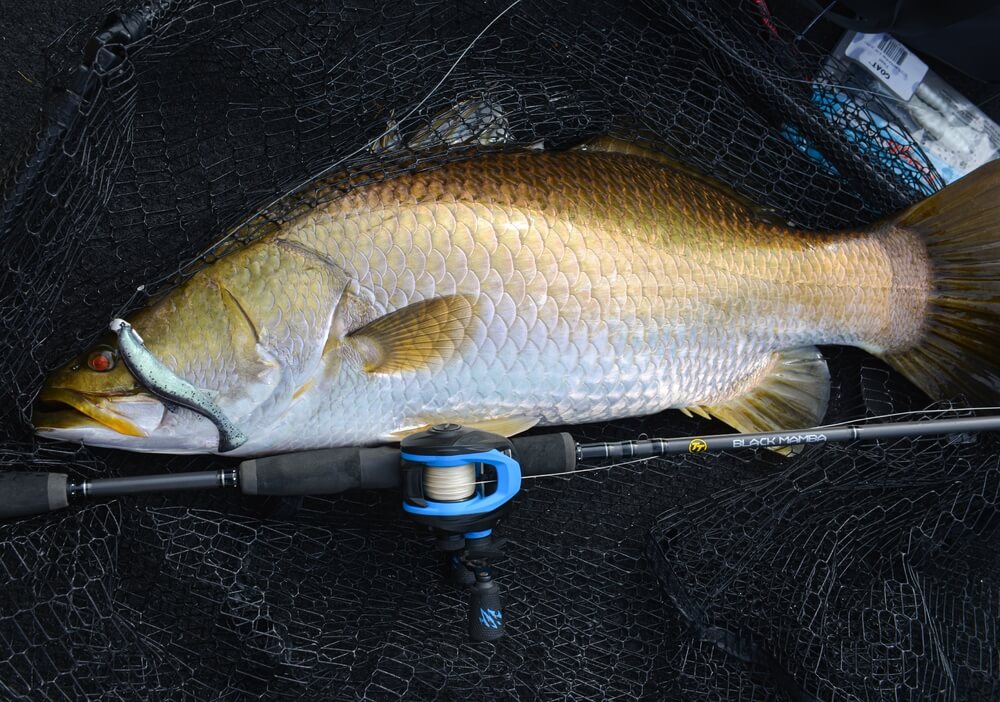 Zman Mulletron 4in Unrigged Soft Plastics