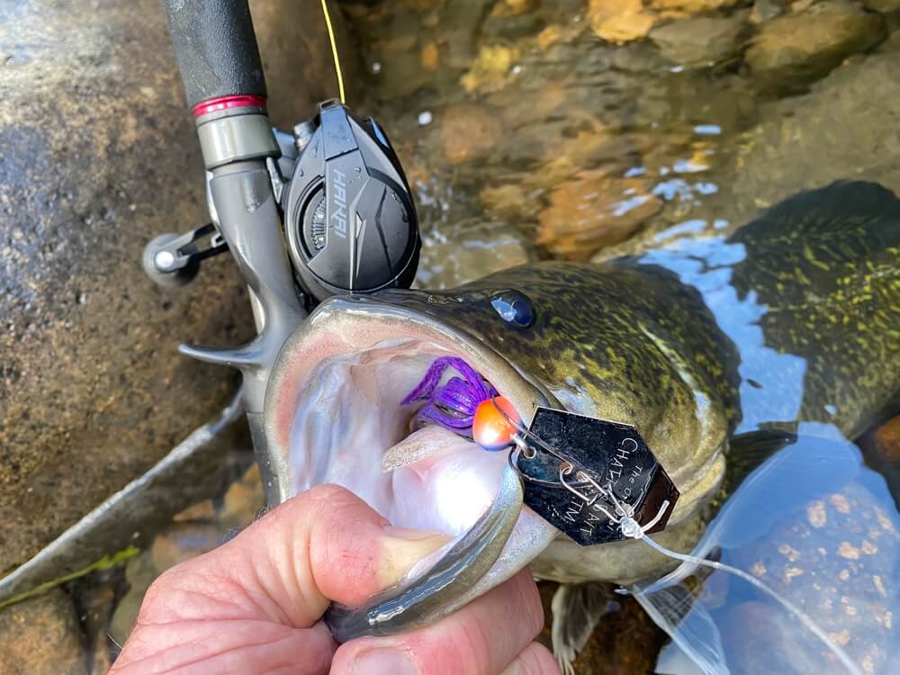 Zman Chatterbait Big Blade 3/4oz