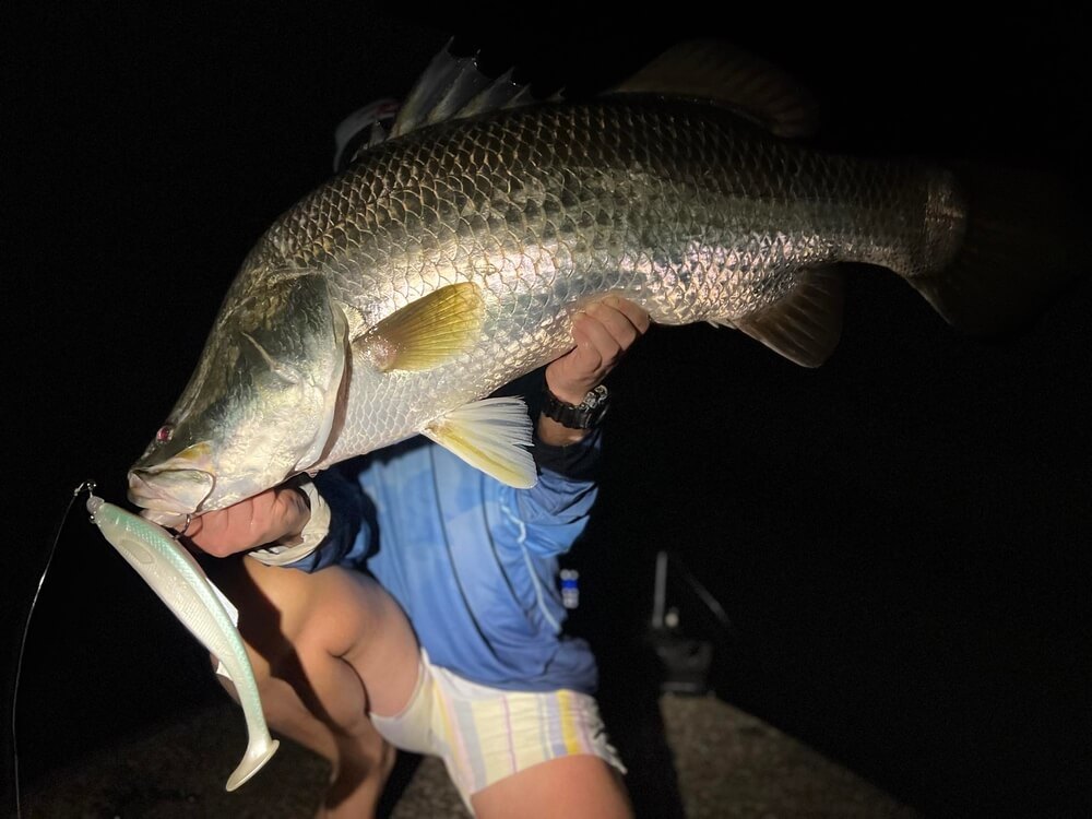 TT Enforcer Swimbait 220mm